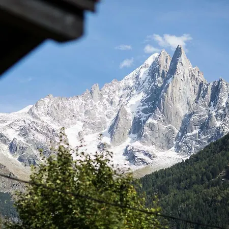 Chalet Vue Mont Blanc 샬레 샤모니